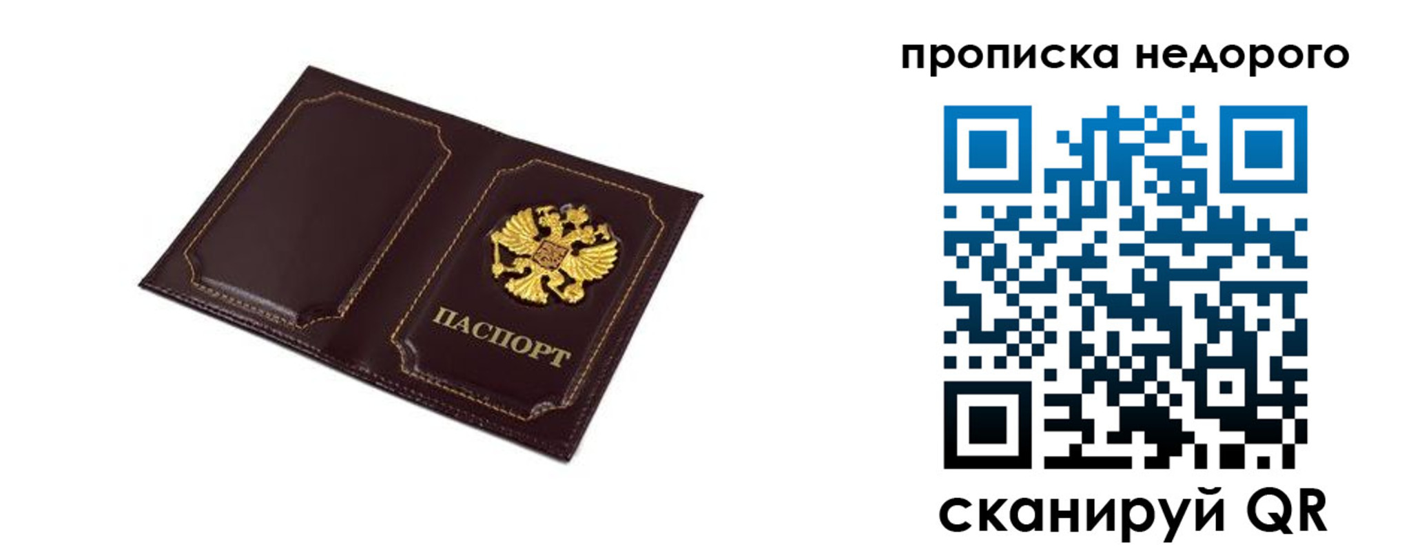 пропишу в квартире в Михайловке